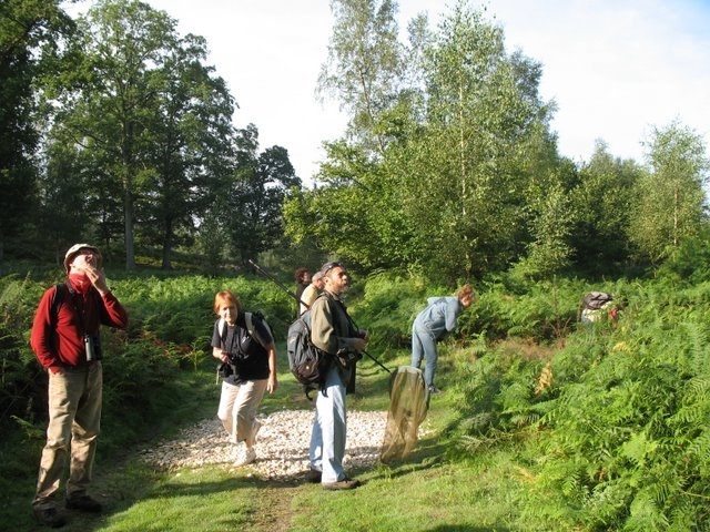 2007-08-Sortie au bois de Rochefort